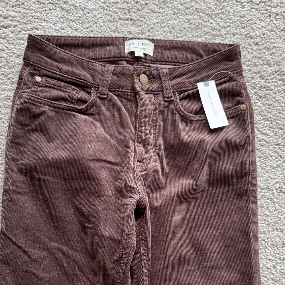 Pilcro Women's High Rise Corduroy Jeans - Deep Brown